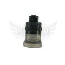 Image-1
