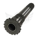 Image-1