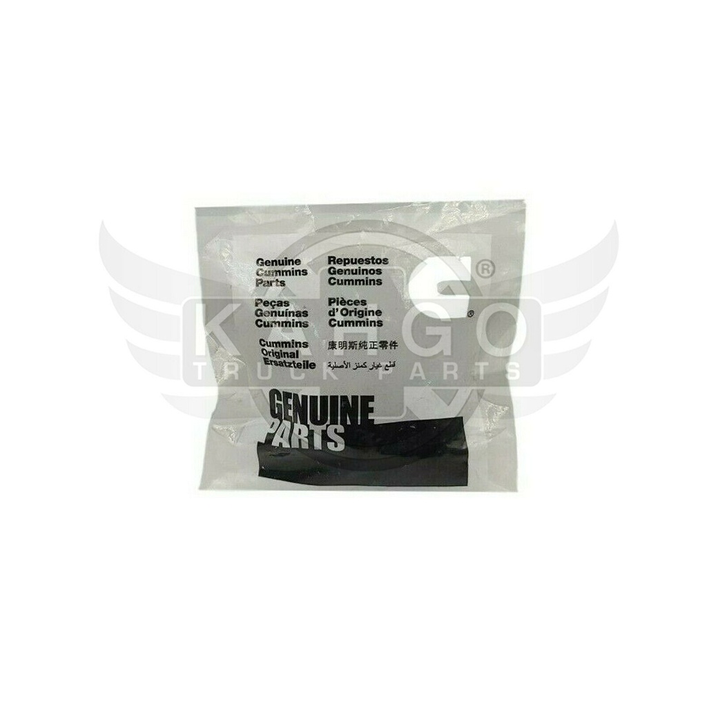Image-2