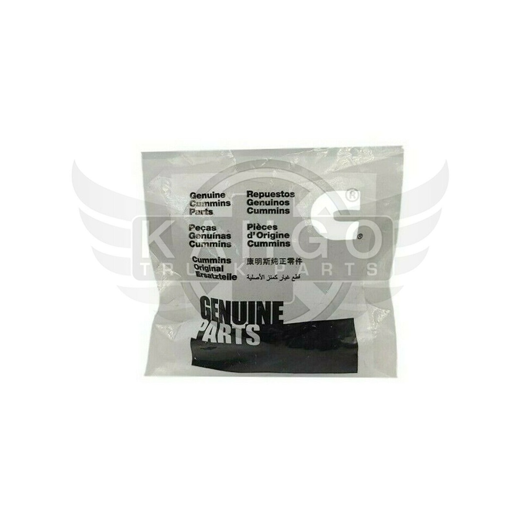 Image-1