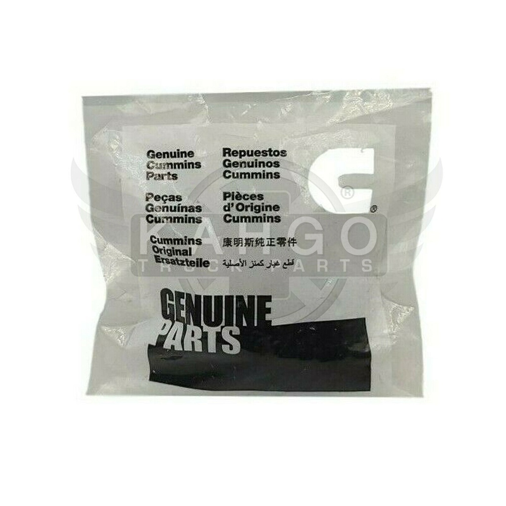Image-1