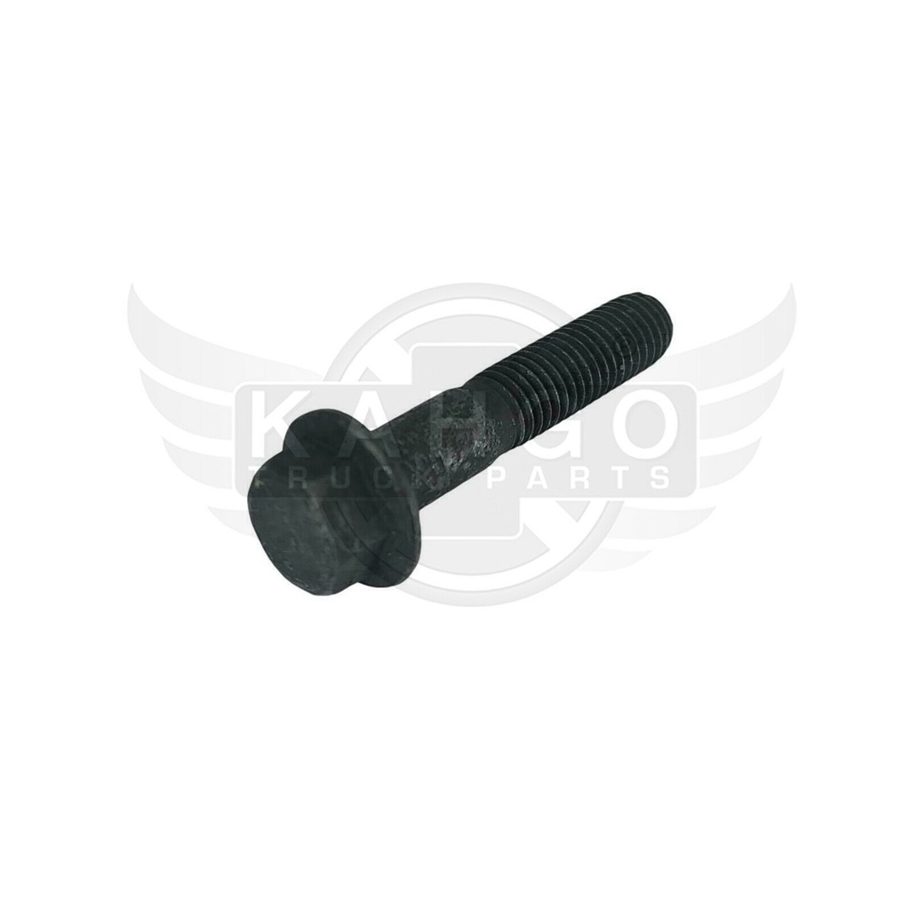 Image-1