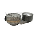 Image-1