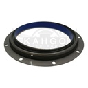 Image-2