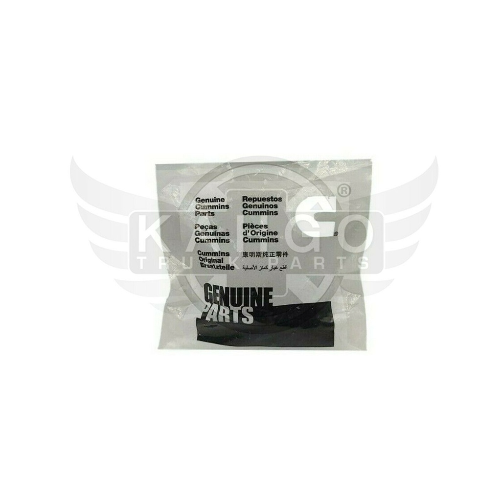 Image-1