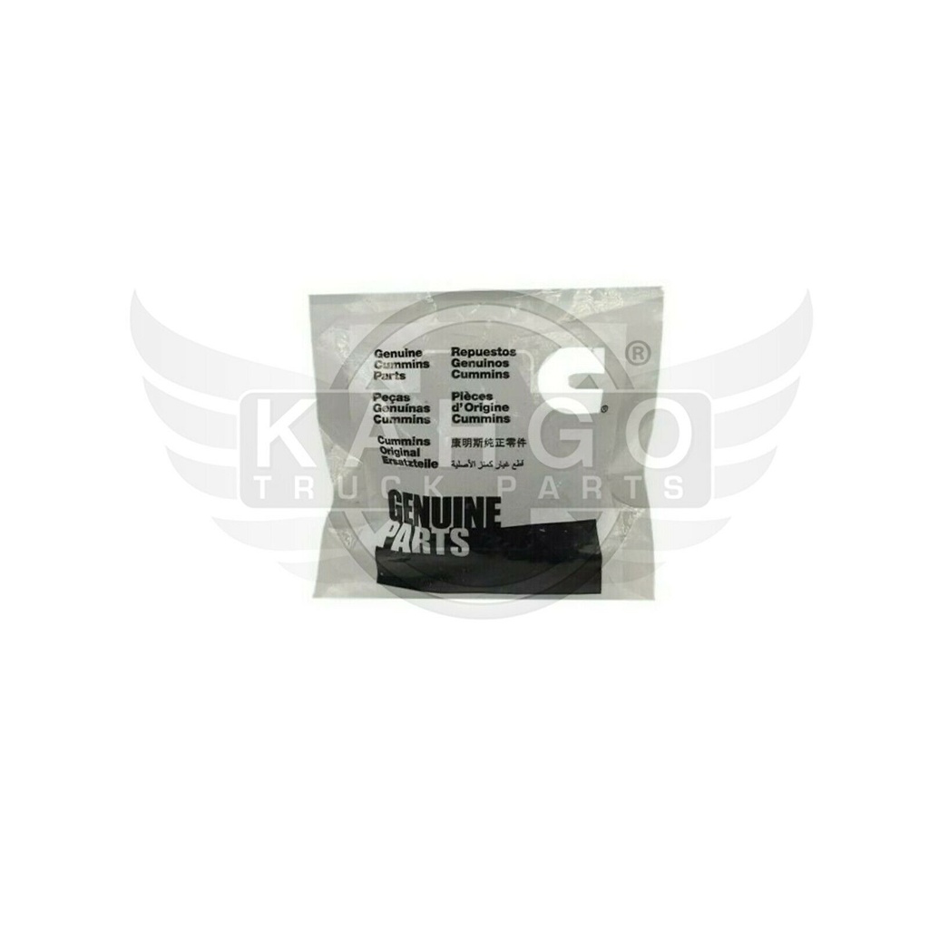 Image-2