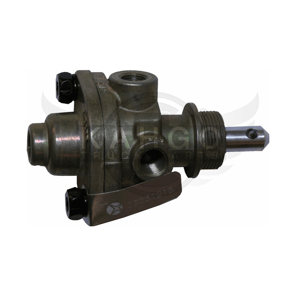 Image-1