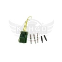 Image-1