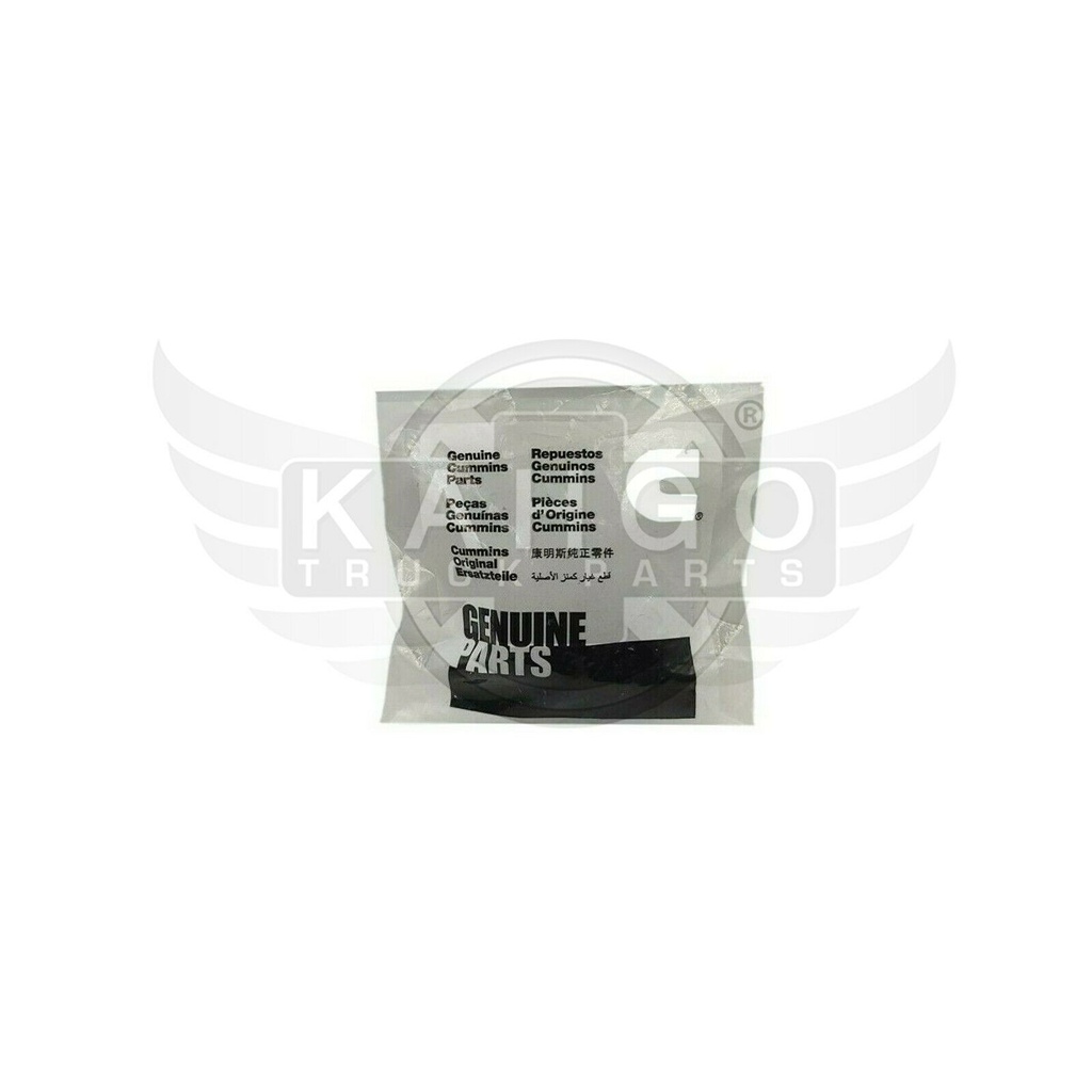 Image-1