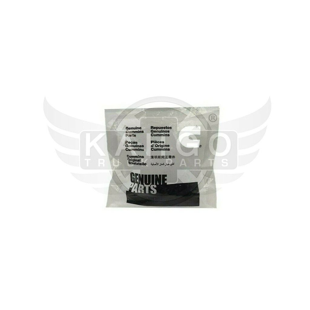 Image-2