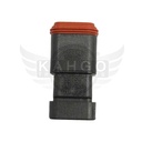 Image-1