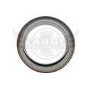 Image-1