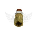 Image-1