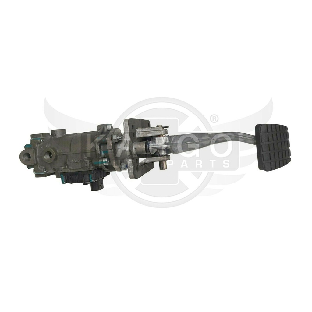 Image-1