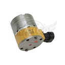 Image-1