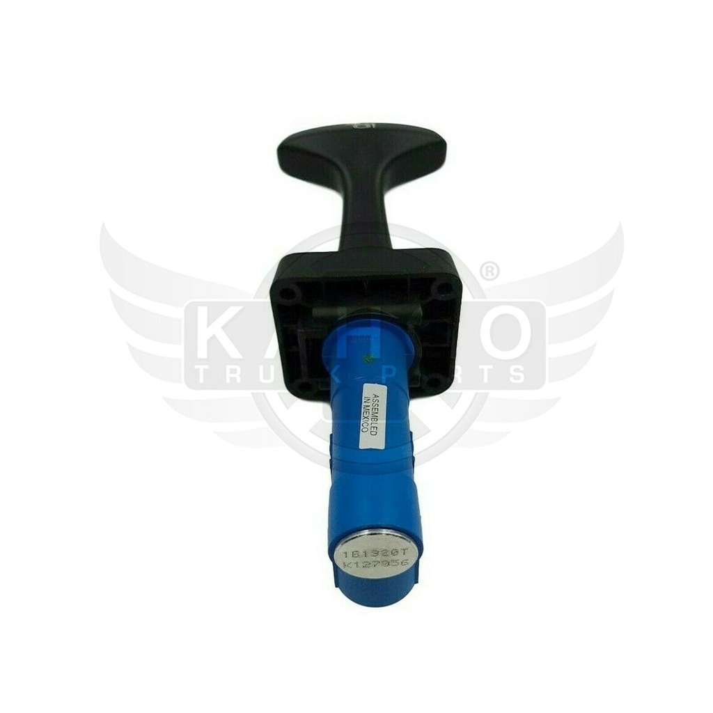 Image-1