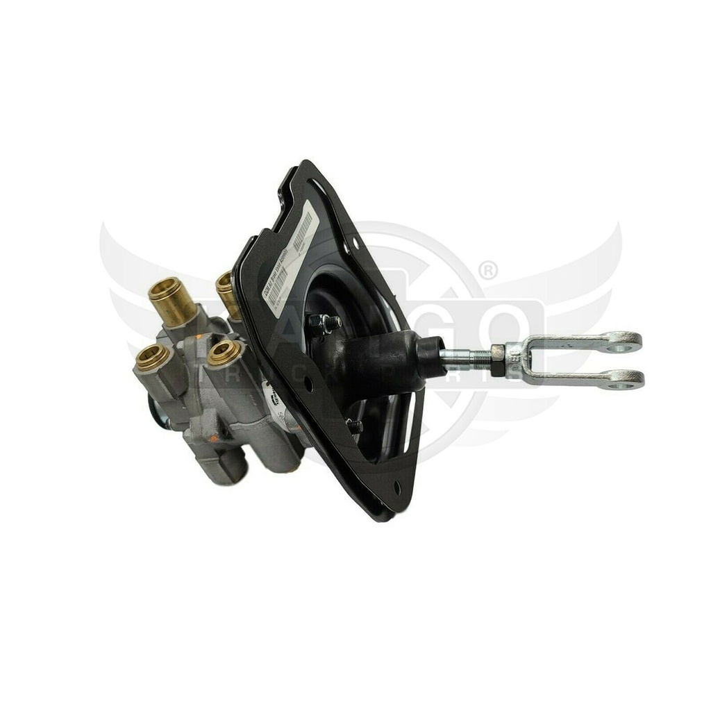 Image-2