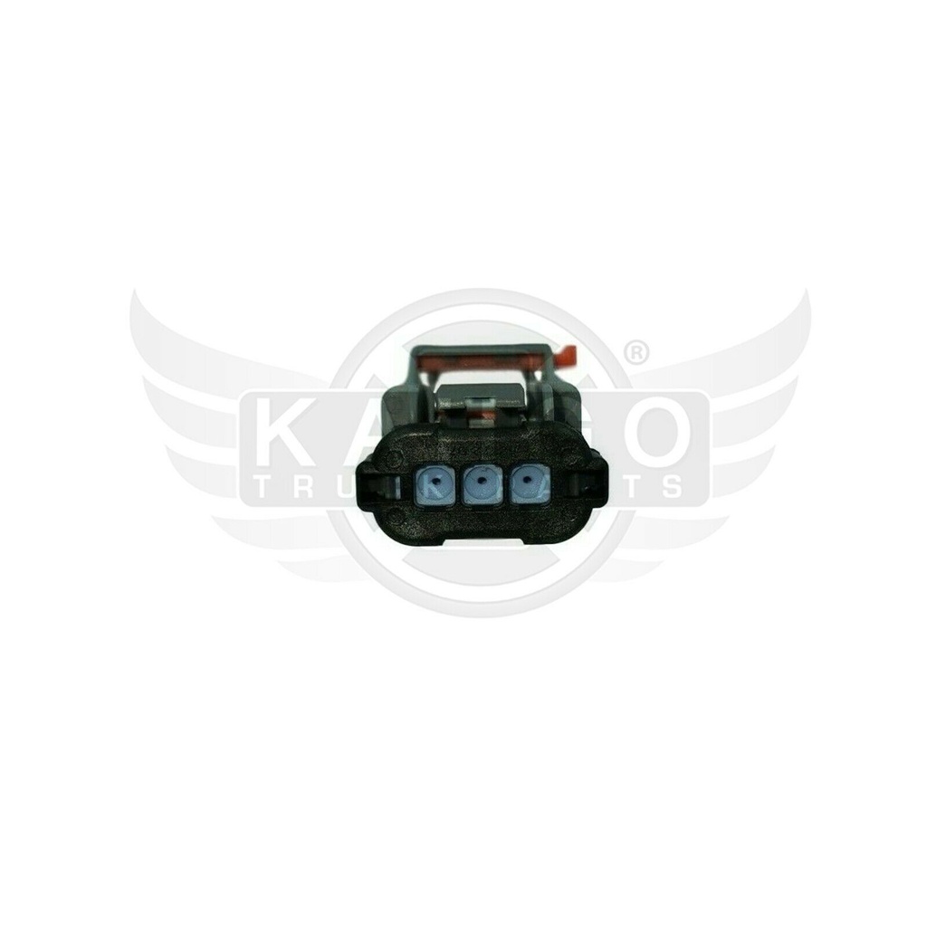 Image-1