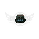 Image-1