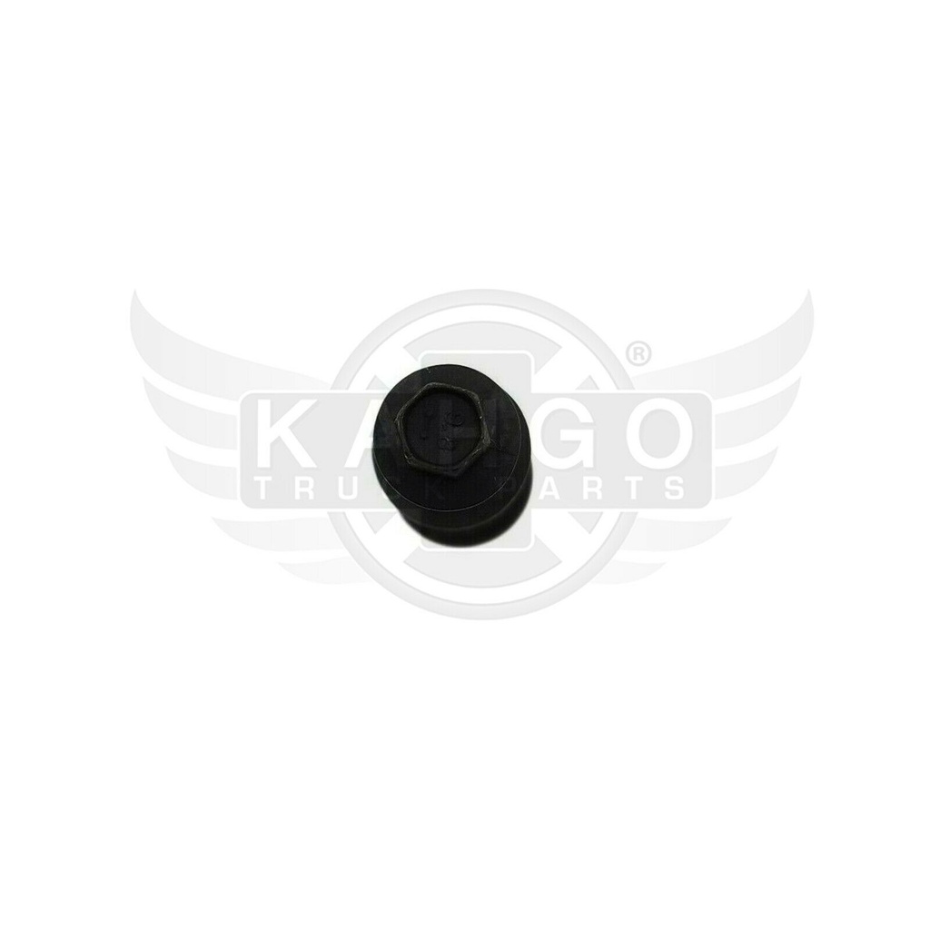 Image-1