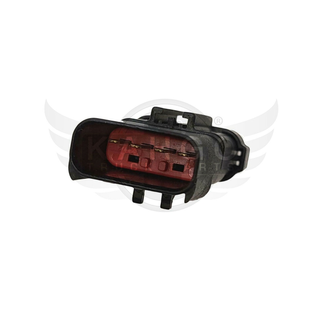 Image-3