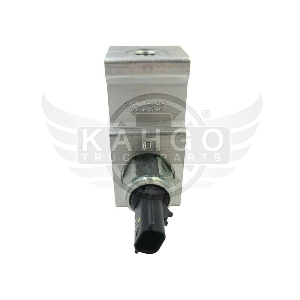 Image-1
