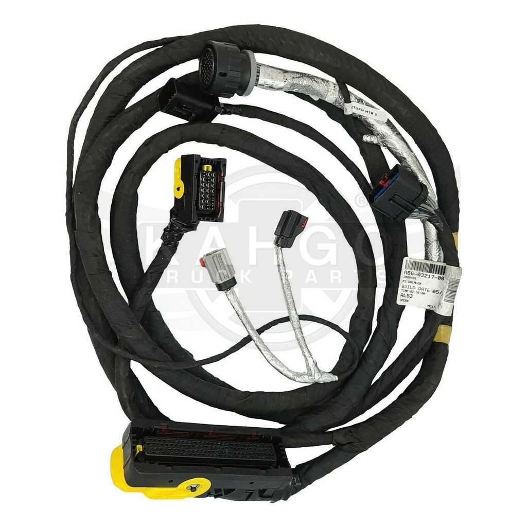 Image-1