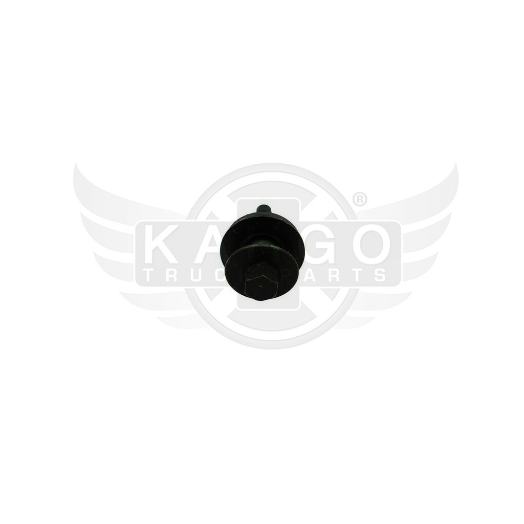 Image-1