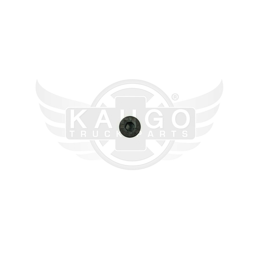 Image-1