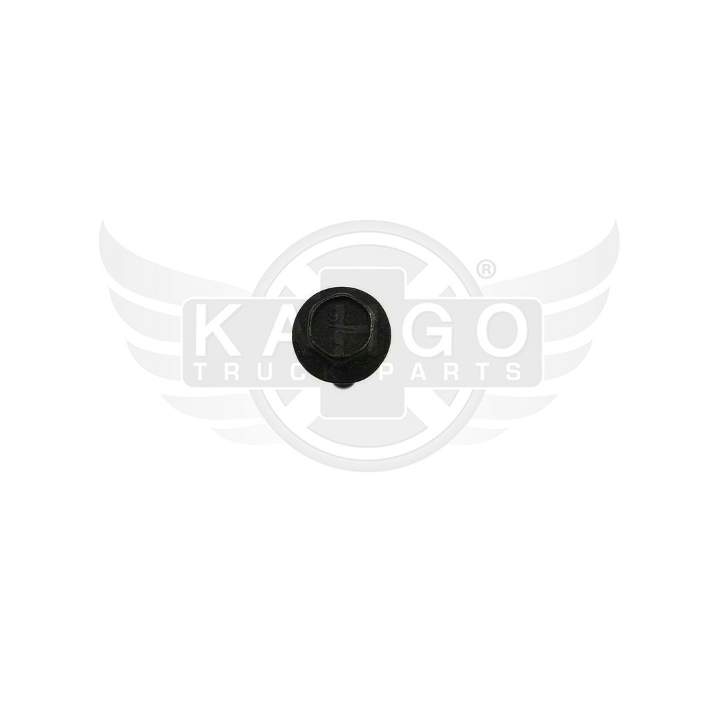 Image-1