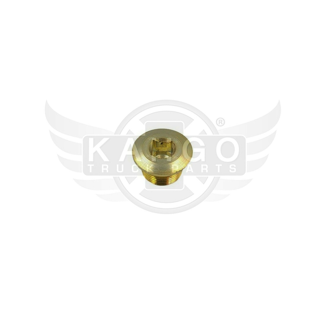 Image-1