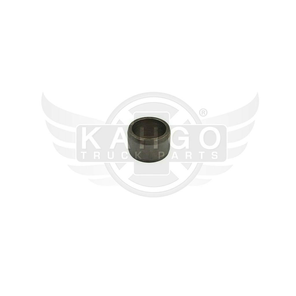 Image-1