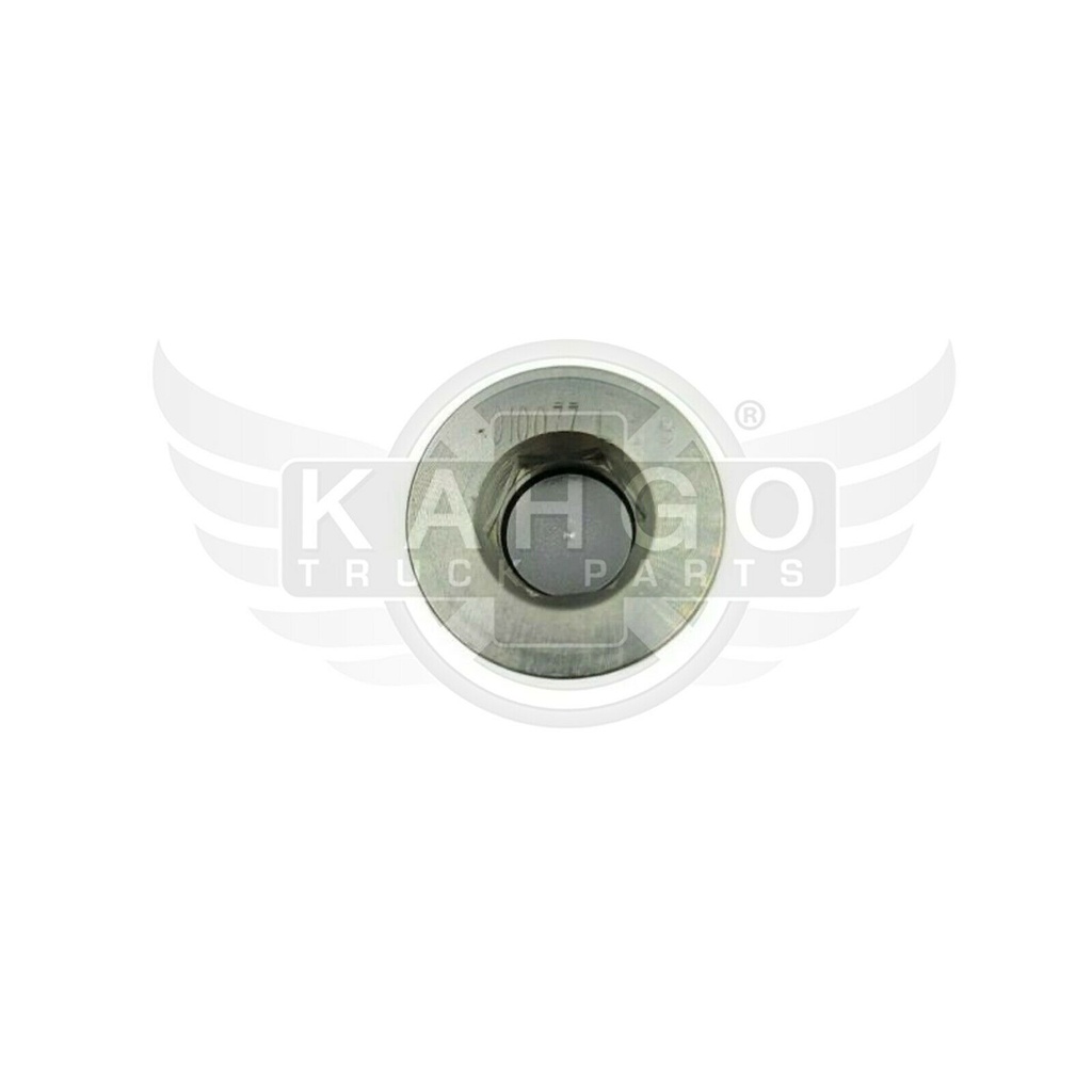 Image-1