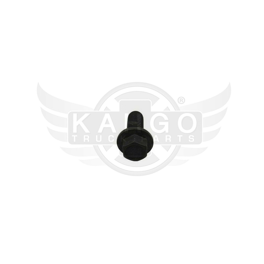 Image-1