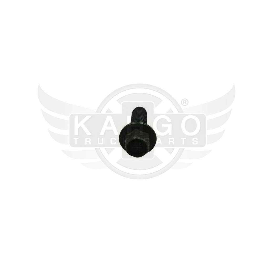 Image-1