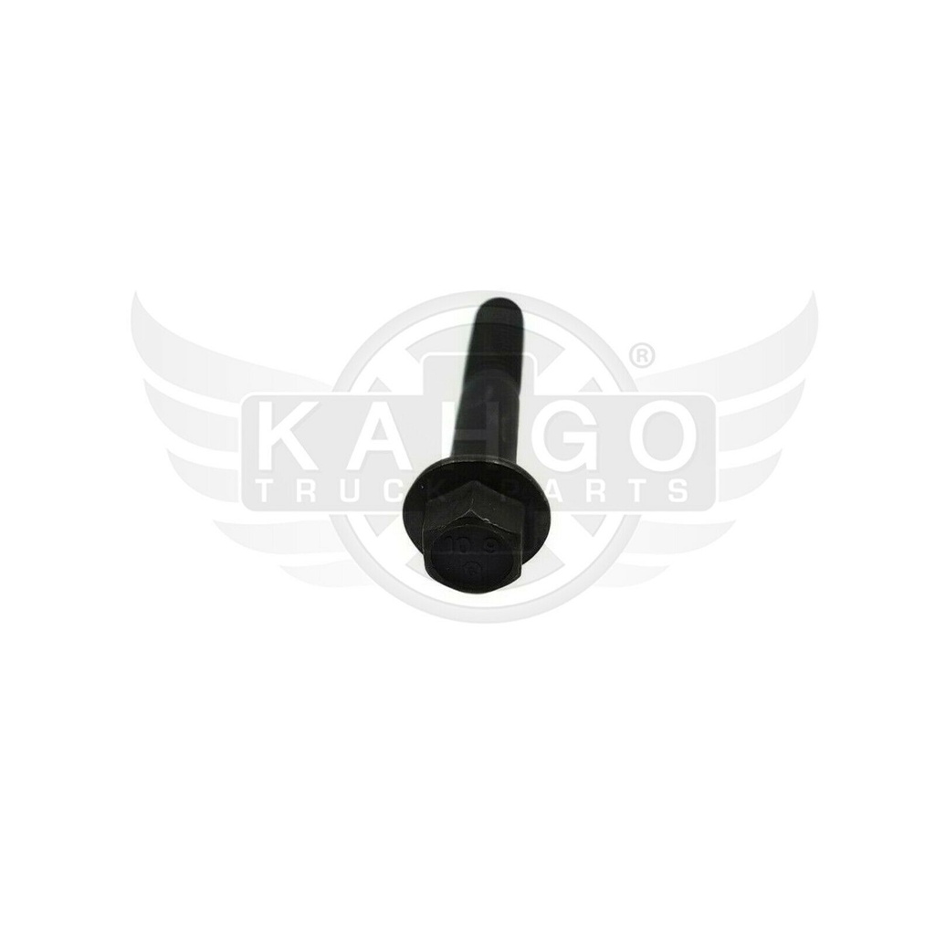 Image-1