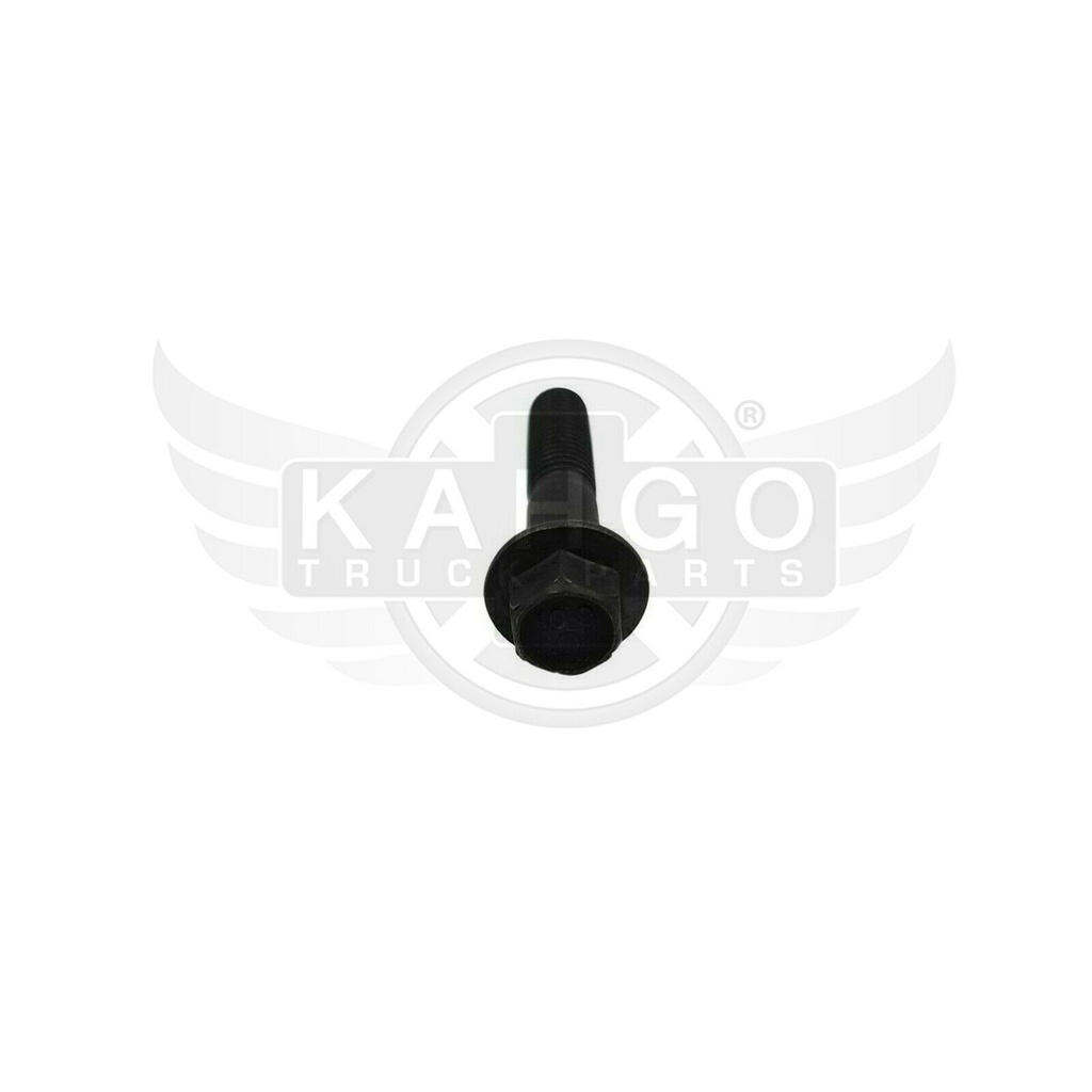 Image-1