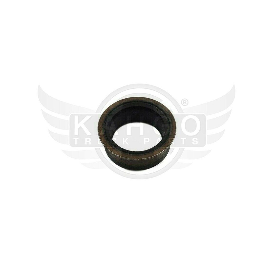 Image-1