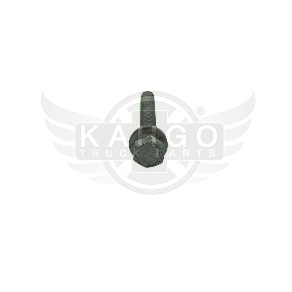 Image-1