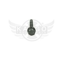 Image-1