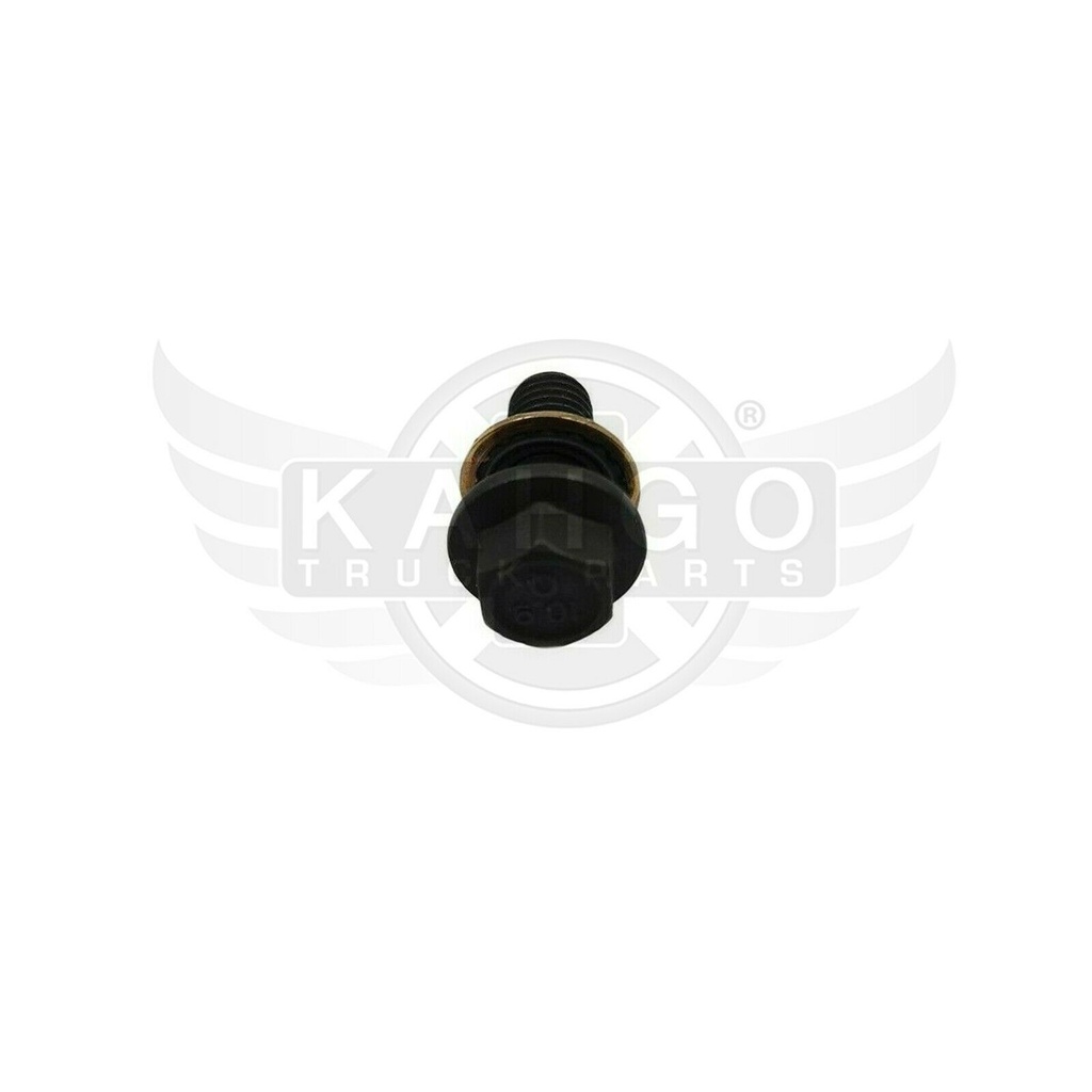 Image-1