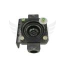 Image-2