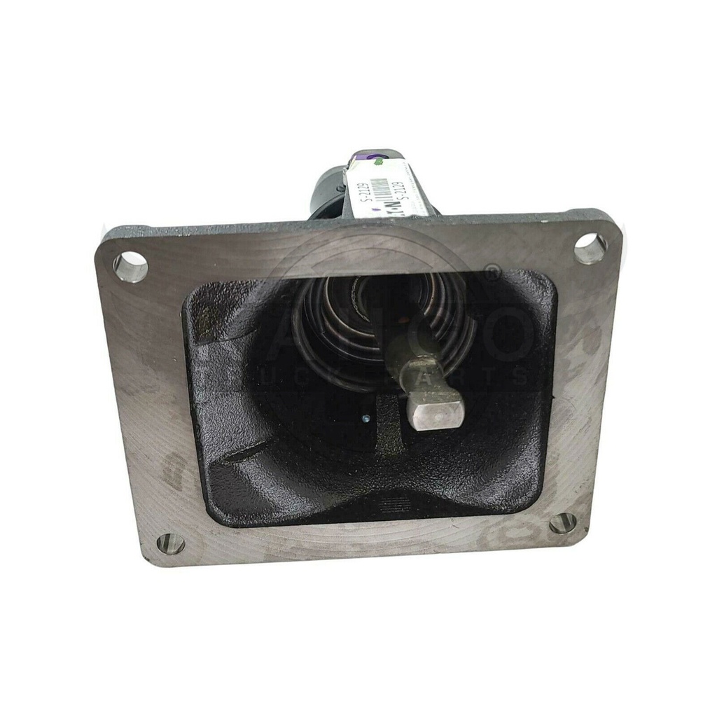 Image-1