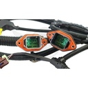 Image-2