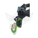 Image-1