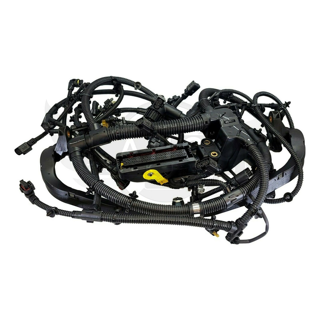 Image-1