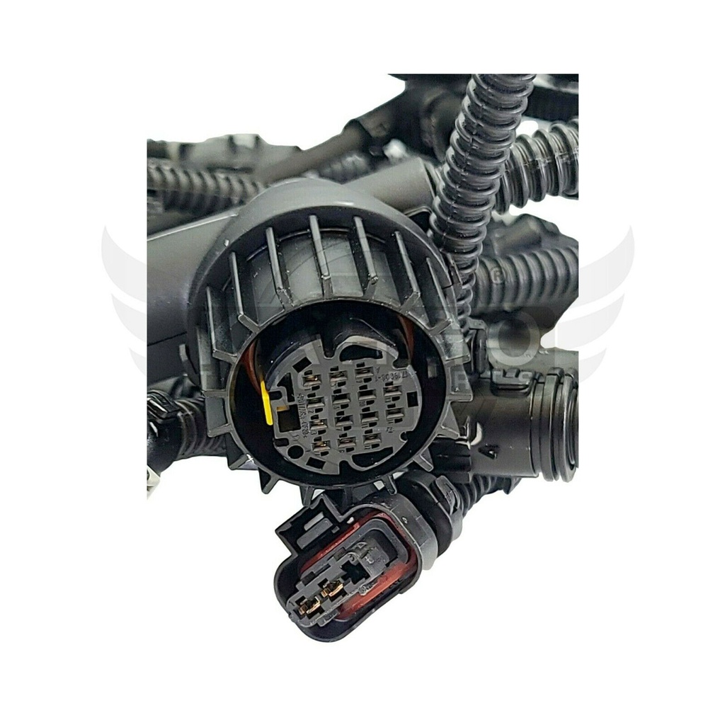 Image-3