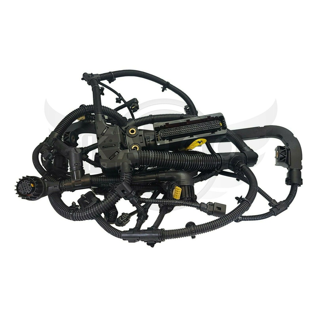 Image-1