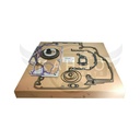 Image-1