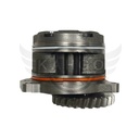 Image-3